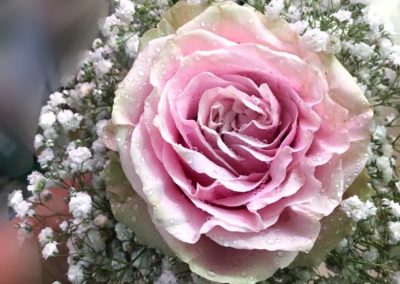 Bridesmaid bouquet. Rose and Gypsophila paniculata.
